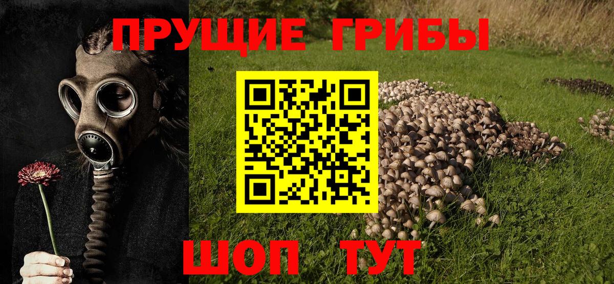 Галлюциногенные грибы мухоморы  Галлюциногенные грибы Magic Shrooms  Вход с VPN  Кострома 