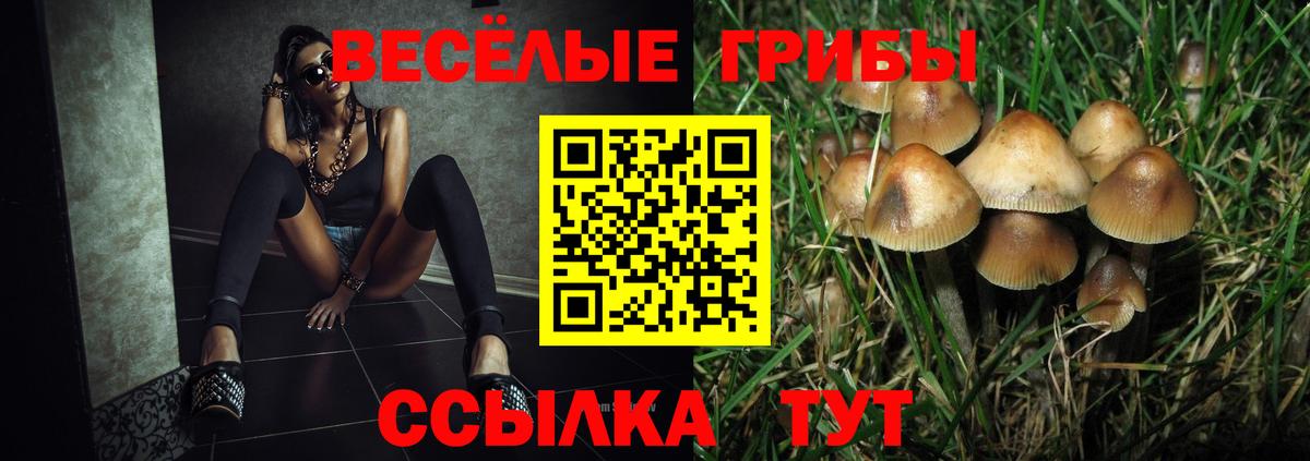 Псилоцибиновые грибы Cubensis Кострома